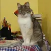 Отзыв от Нелли Никонова